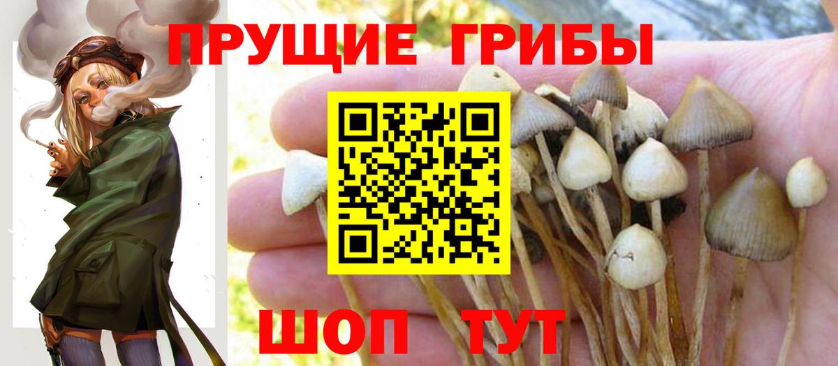 Псилоцибиновые грибы Cubensis  Вход с VPN  наркошоп  Галлюциногенные грибы Magic Shrooms  Владикавказ 
